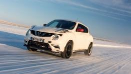 Nissan Juke Nismo RS (2014) - wersja europejska - widok z przodu