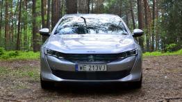 Peugeot 508 2.0 BlueHDI 160 KM - galeria redakcyjna - widok z przodu