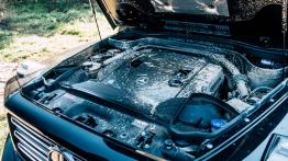 Mercedes-Benz G500 - galeria redakcyjna - silnik solo