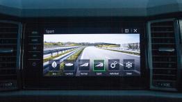 Skoda Kodiaq RS - galeria redakcyjna