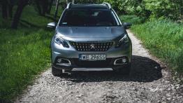 Peugeot 2008 Crossway - galeria redakcyjna - widok z przodu