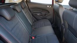 Ford Ecosport – dzika karta