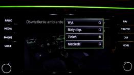 Skoda Superb Laurin & Klement 2.0 TDI 150 KM - galeria redakcyjna - ekran systemu multimedialnego