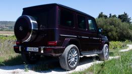 Mercedes-Benz Klasa G - galeria redakcyjna - widok z tyłu