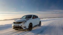 Nissan Juke Nismo RS (2014) - wersja europejska - widok z przodu