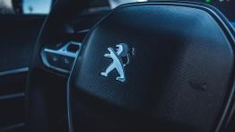 Peugeot 3008 - galeria redakcyjna