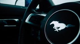 Ford Mustang GT - galeria redakcyjna