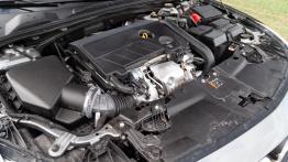 Opel Insignia Country Tourer 1.6 Turbo 200 KM - galeria redakcyjna - silnik solo