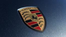 Porsche Cayenne - galeria redakcyjna 