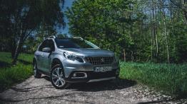 Peugeot 2008 Crossway - galeria redakcyjna - widok z przodu