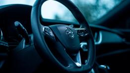 Opel Insignia Grand Tourer GSi 2.0 BiTurbo CDTI 210 KM - galeria redakcyjna - inny element panelu pr