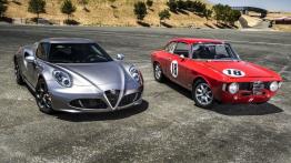 Alfa Romeo 4C (2015) - wersja amerykańska - widok z przodu