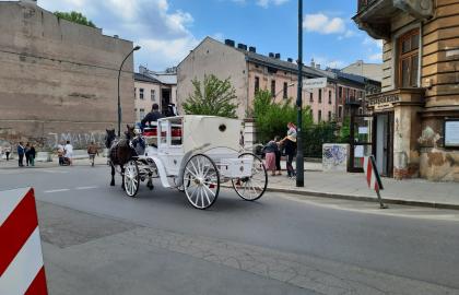 Żabcia ll