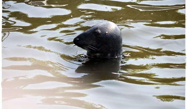 Hel - jazda na lpg. Taniej i szybciej