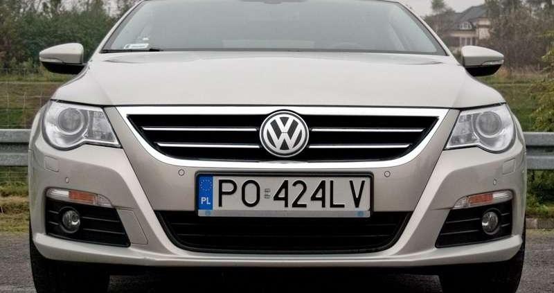 Z mocą mu do twarzy