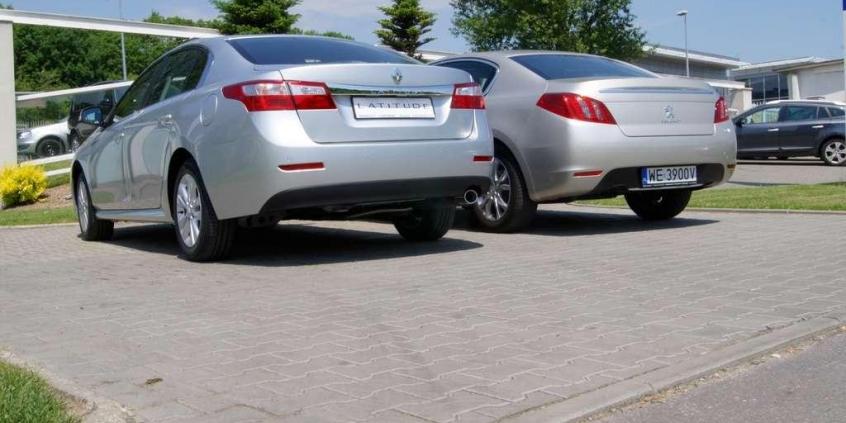 Winniczki kontra żabie udka