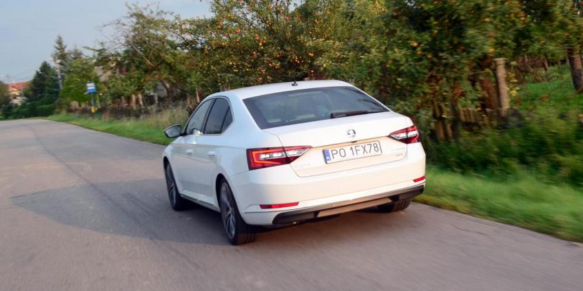 Skoda Superb za prawie 200 tys. zł! Plusy i minusy wersji &quot;full wypas&quot; 