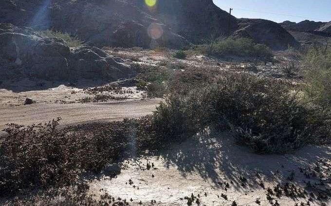 Skoda Yeti w Namibii - dzień 4 - od księżycowego krajobrazu po safari