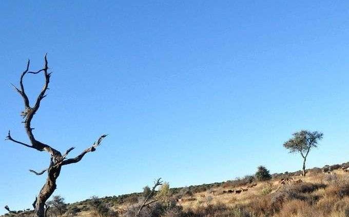 Skoda Yeti w Namibii - dzień 4 - od księżycowego krajobrazu po safari