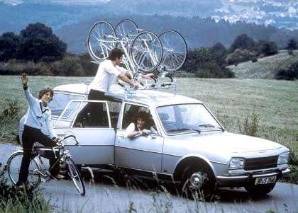 Od 504 do 508 - powrót króla lwów