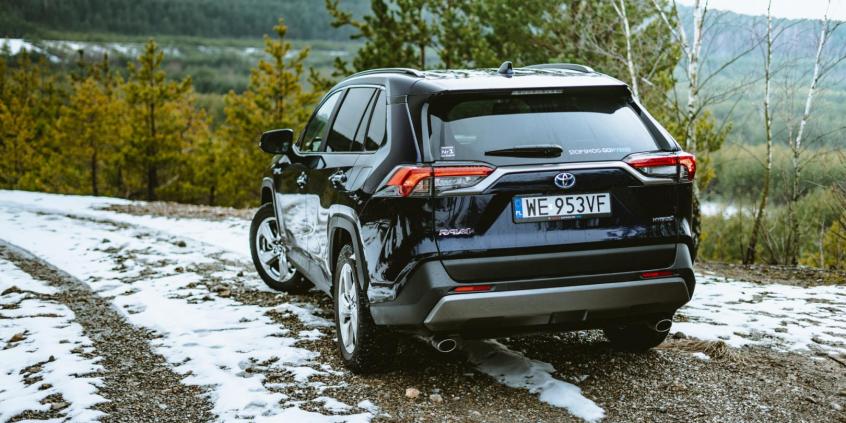 Toyota RAV4. Nadal w formie