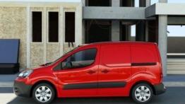 Citroen Berlingo II Van