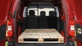 Citroen Berlingo Van - tył - bagażnik otwarty