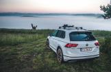 #VW #tiguan