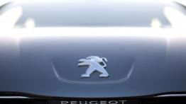 Peugeot 508 sedan - logo