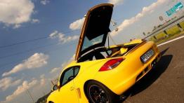 "Forfiter" - Porsche Cayman