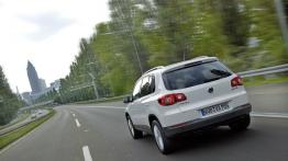 Volkswagen Tiguan - widok z tyłu