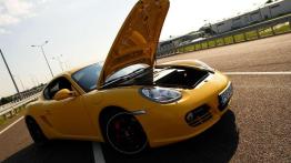 "Forfiter" - Porsche Cayman