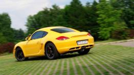 "Forfiter" - Porsche Cayman