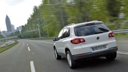 Volkswagen Tiguan - widok z tyłu