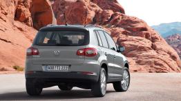 Volkswagen Tiguan - widok z tyłu