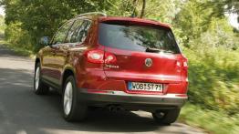 Volkswagen Tiguan - widok z tyłu
