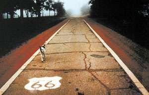 Legendarna droga transamerykańska