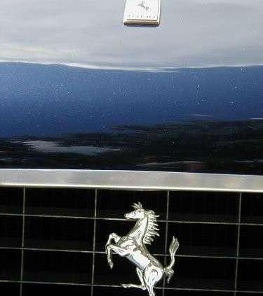 O charakterze signore Enzo i miłości Brigitte Bardot