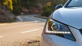 Mały byczek nie chce dorosnąć?