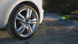 Mały byczek nie chce dorosnąć?