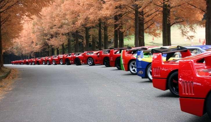 Testament Enzo - Ferrari F40 