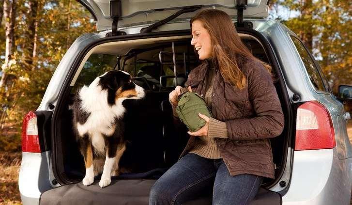 Jak bezpiecznie podróżować samochodem z psem