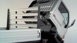 Nissan Cabstar - widok z tyłu