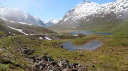 Wyprawa z Volvo - komu w drogę, temu czas...