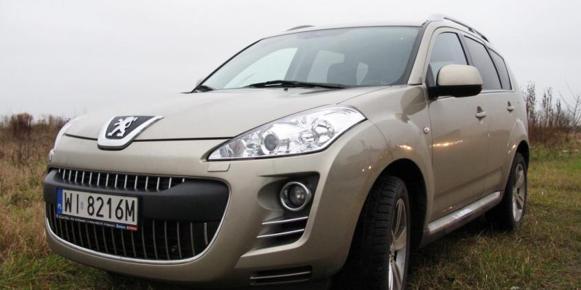 Podróż z lwem na masce