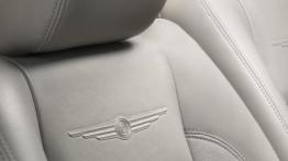 Chrysler Aspen - zagłówek na fotelu pasażera, widok z przodu