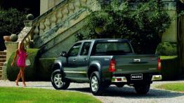 Isuzu D-Max - widok z tyłu