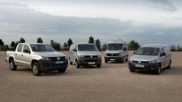 Volkswagen Amarok Double Cab - widok z przodu