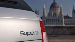 Polak, Węgier, dwa bratanki - jedni i drudzy muszą oszczędzać - Skoda Superb