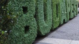 Polak, Węgier, dwa bratanki - jedni i drudzy muszą oszczędzać - Skoda Superb